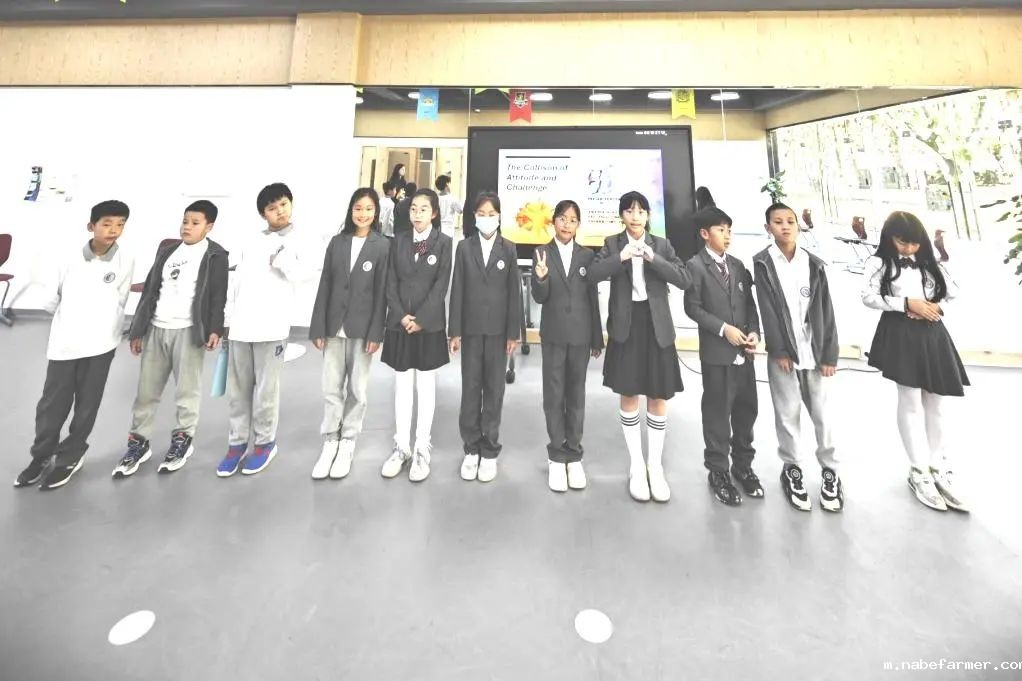 How do MISers learn and live丨10月第四周,MIS的学生如何学习和生活?