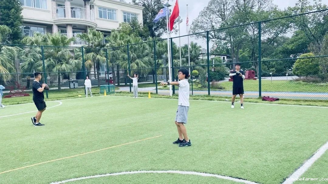 How do MISers learn and live丨10月第四周,MIS的学生如何学习和生活?