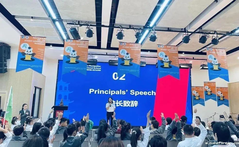 How do MISers learn and live丨10月第四周,MIS的学生如何学习和生活?