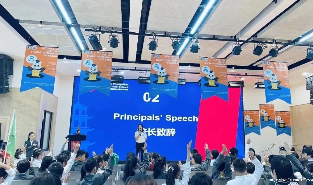 How do MISers learn and live丨10月第四周,MIS的学生如何学习和生活?