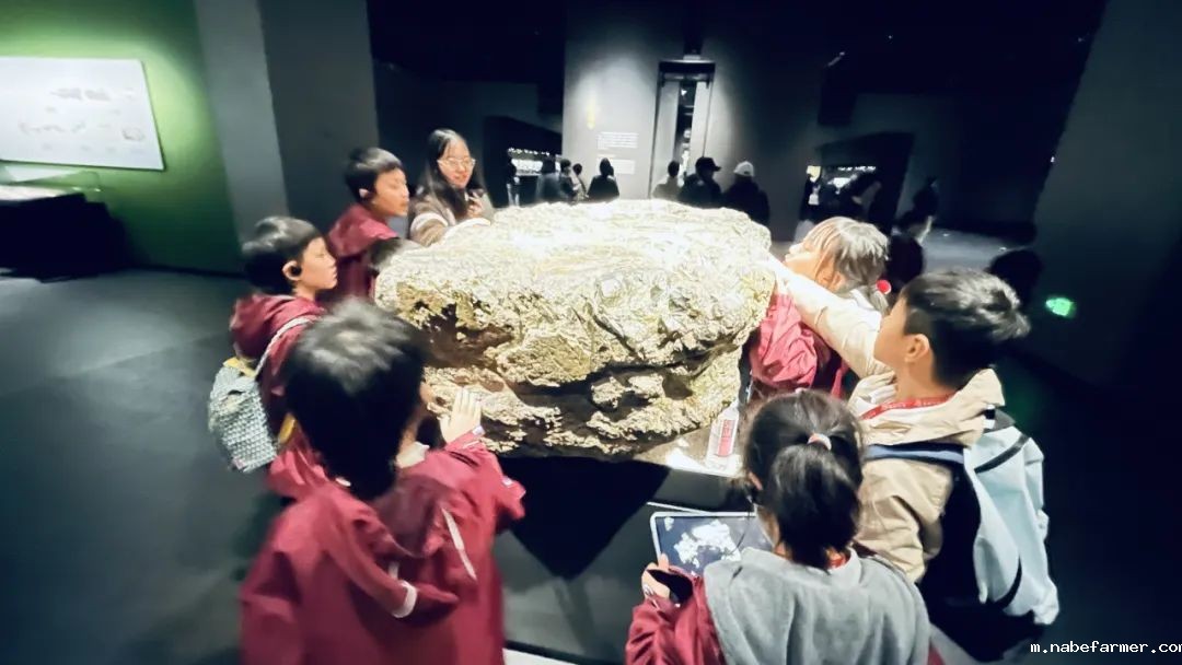 Explore Endless Possibilities丨拓展视野,探索无限可能!