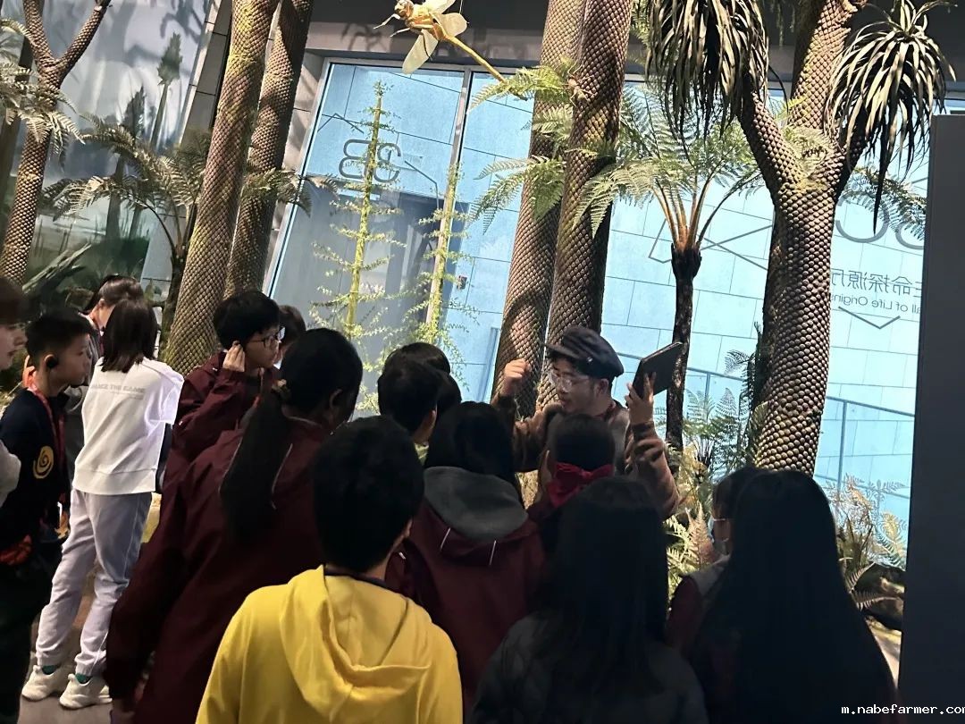 Explore Endless Possibilities丨拓展视野,探索无限可能!