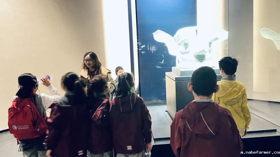 Explore Endless Possibilities丨拓展视野,探索无限可能!