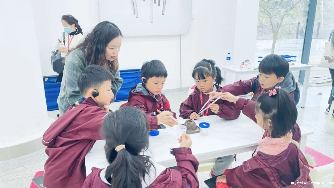 Explore Endless Possibilities丨拓展视野,探索无限可能!