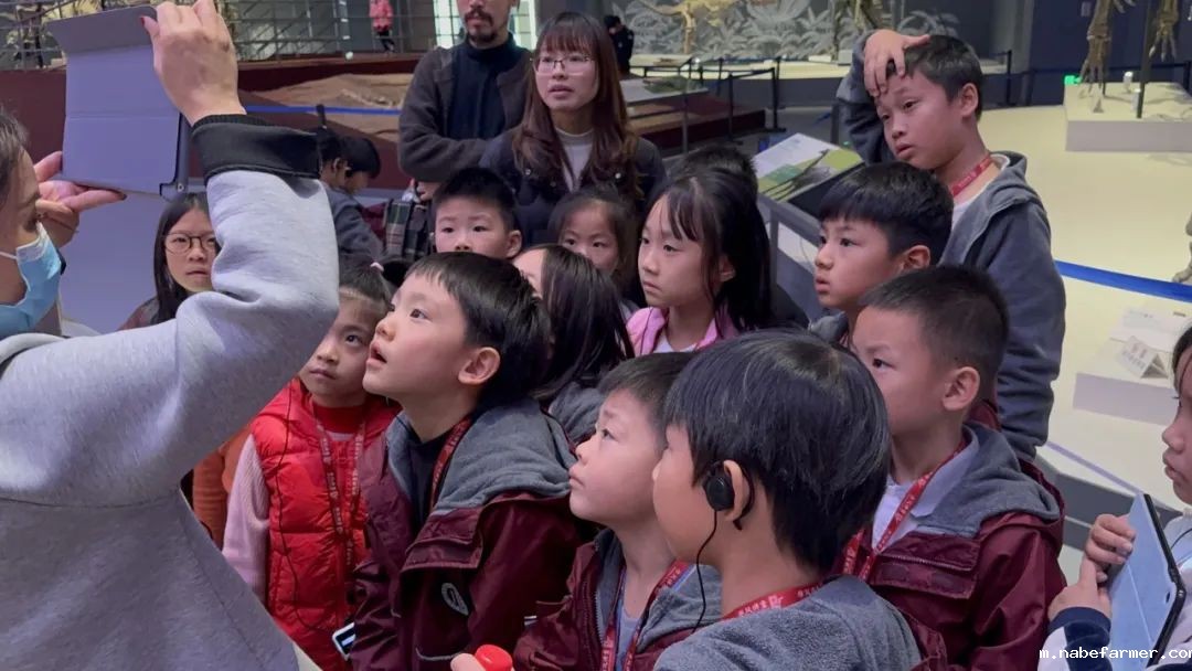 Explore Endless Possibilities丨拓展视野,探索无限可能!