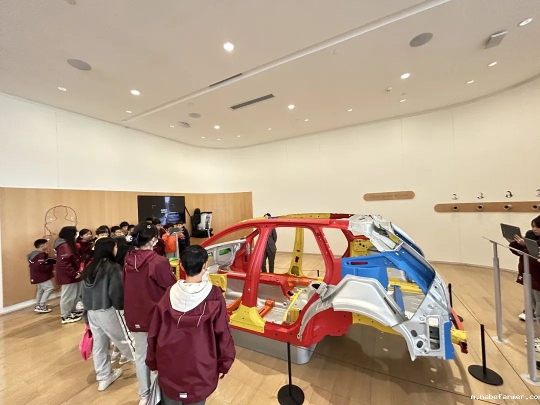 Explore Endless Possibilities丨拓展视野,探索无限可能!