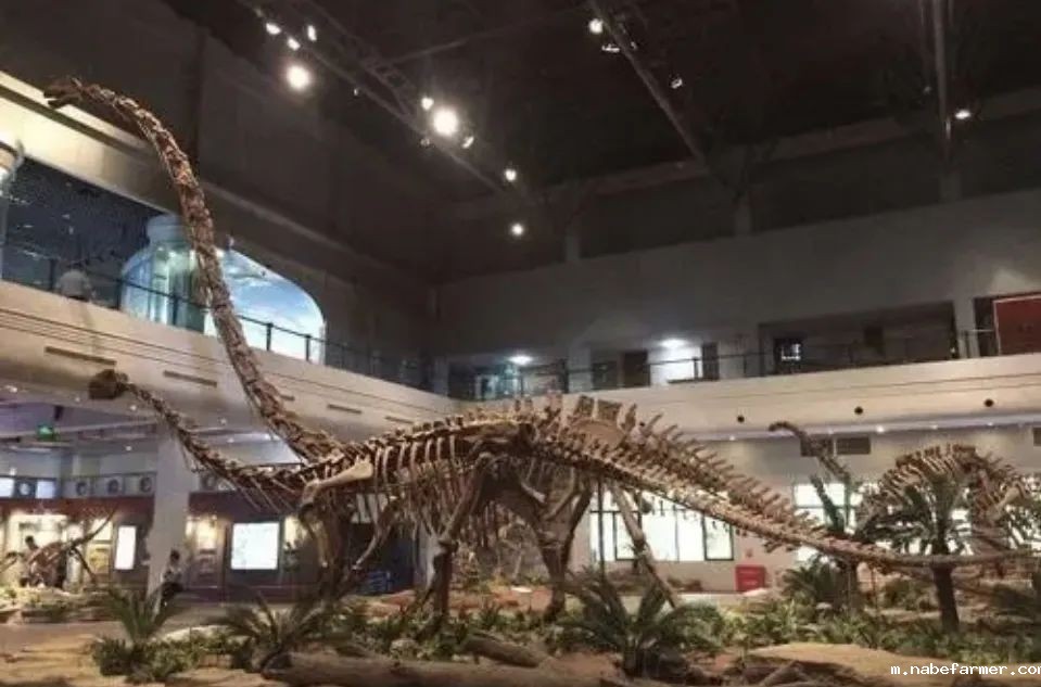 Explore Endless Possibilities丨拓展视野,探索无限可能!