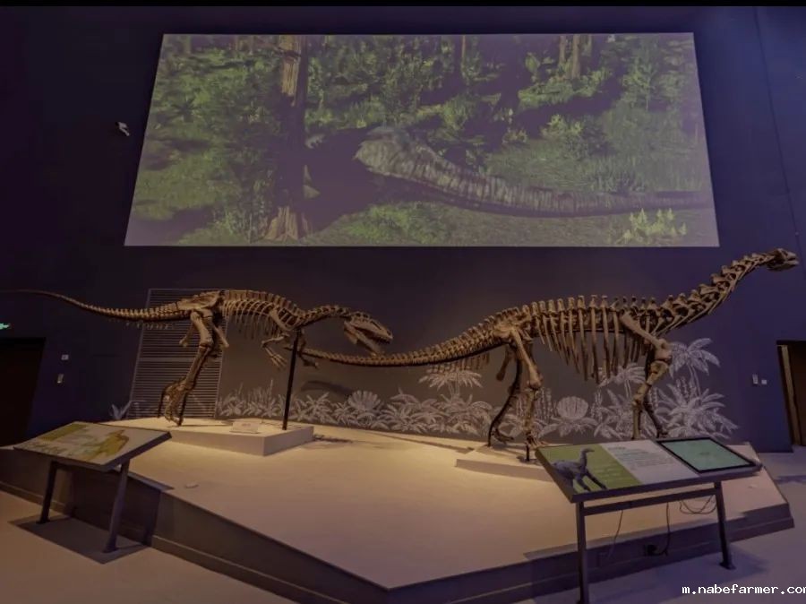 Explore Endless Possibilities丨拓展视野,探索无限可能!