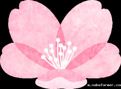 探索未知,收获成长--鹤鸣山徒步之旅