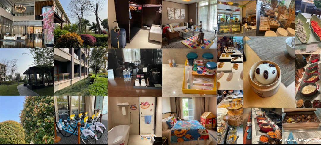 探索未知,收获成长--鹤鸣山徒步之旅