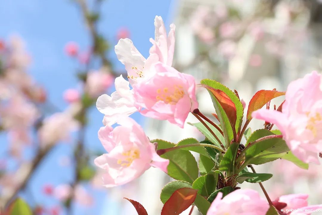 探索未知,收获成长--鹤鸣山徒步之旅