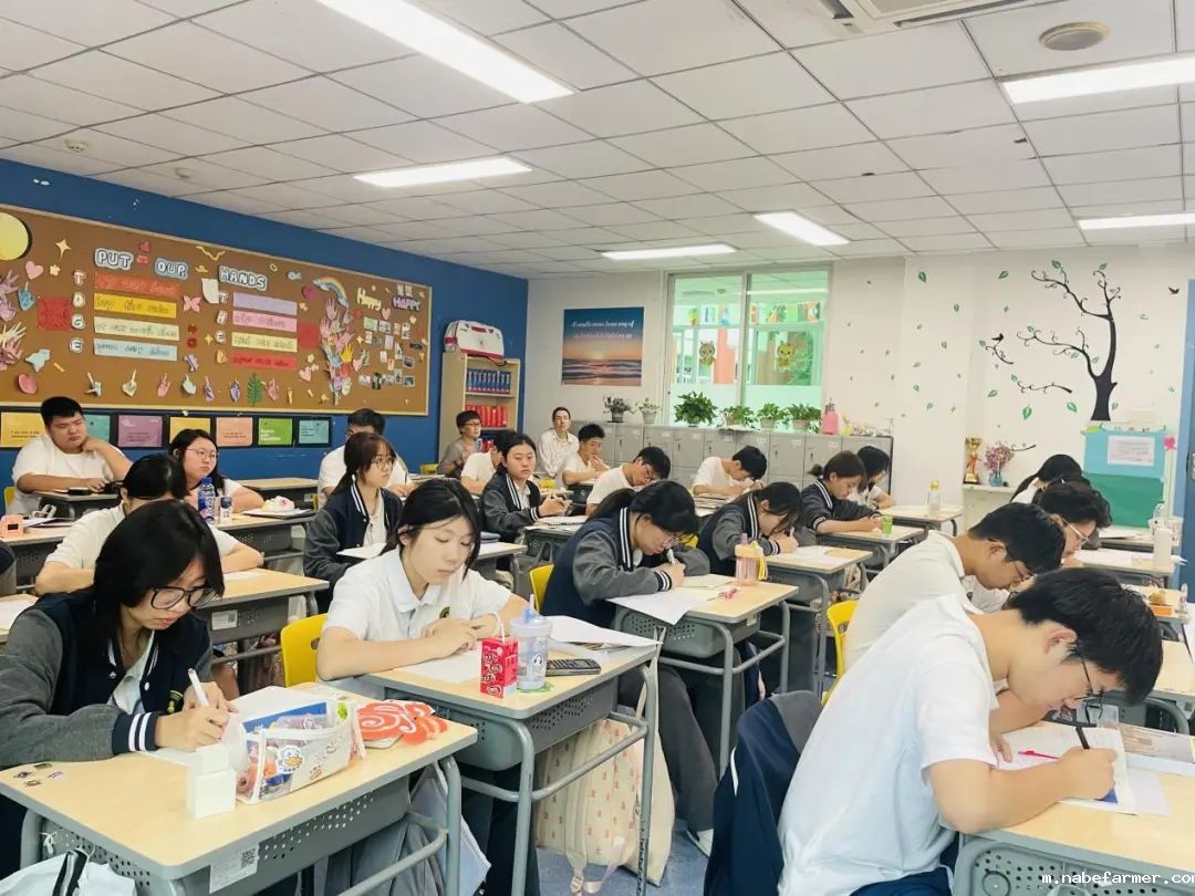 权威学术督导、专业升学解读丨一切只为学生提供最优质的教学和指导服务