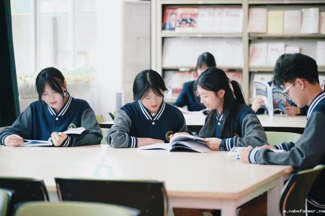 权威学术督导、专业升学解读丨一切只为学生提供最优质的教学和指导服务