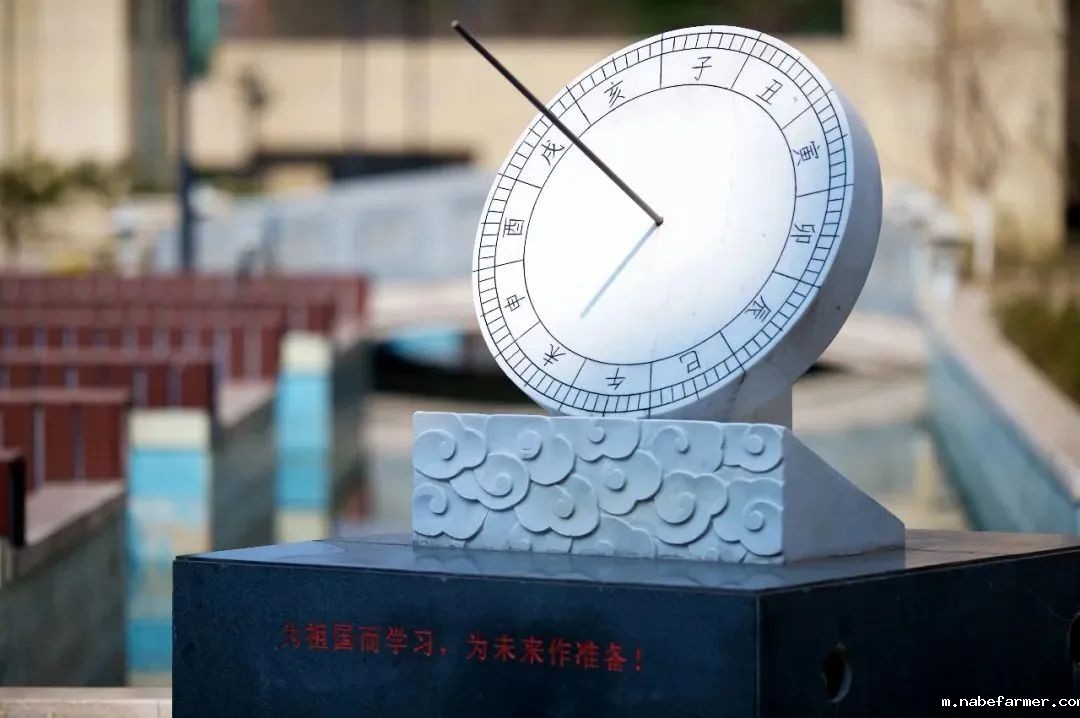 沪杭择校库 | 杭州外国语学校剑桥国际高中