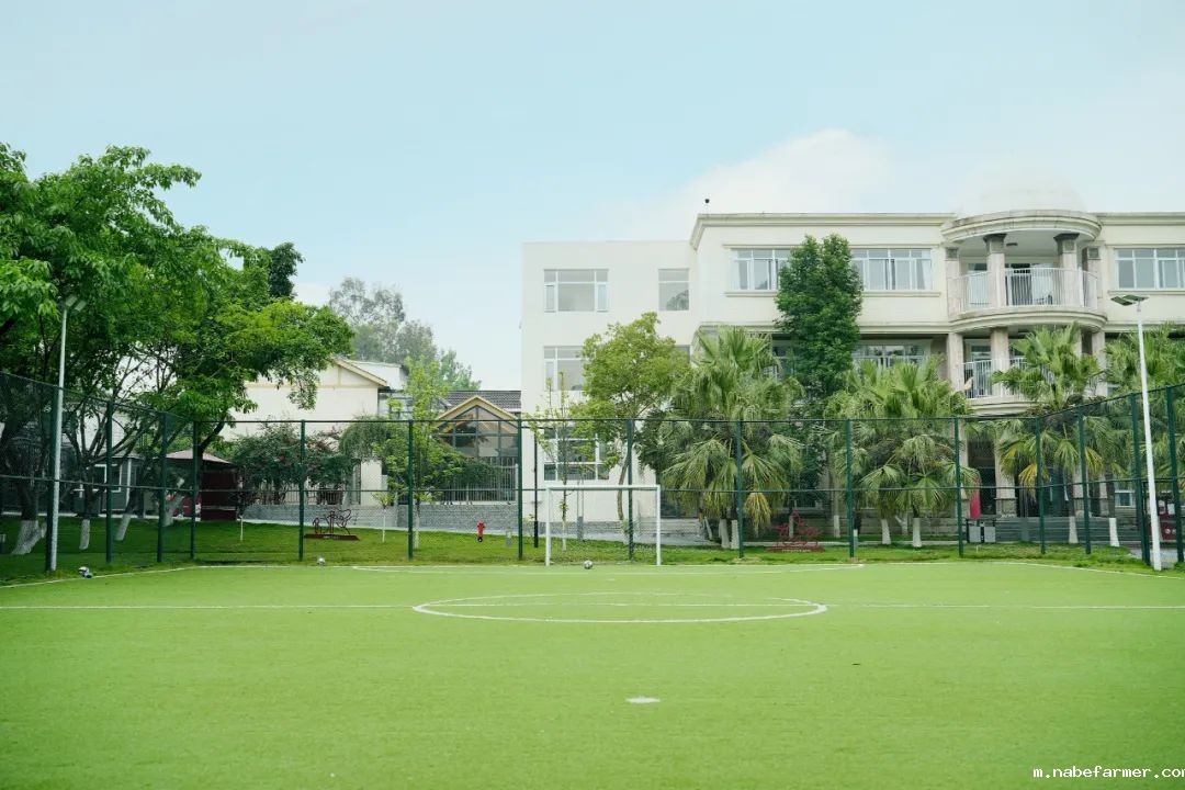 Enrollment is in Progress丨招生简章——欢迎入读成都蒙彼利埃外籍人员子女学校