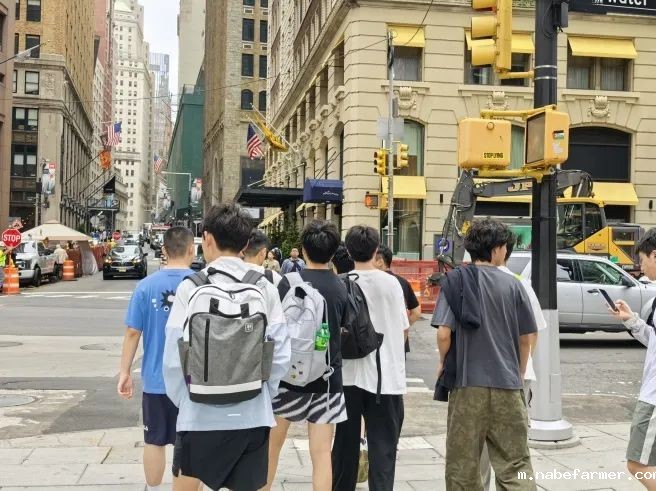 暑期海外实践 | 深入探索美国七大名校,逐梦前行,走向全球!