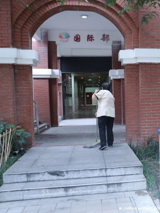求围观!解锁暑期校园里不为人知的“秘密”!