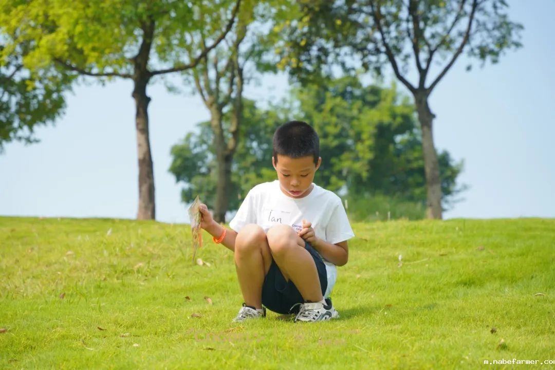 皮划艇、探险寻宝……我们去户外研学啦!