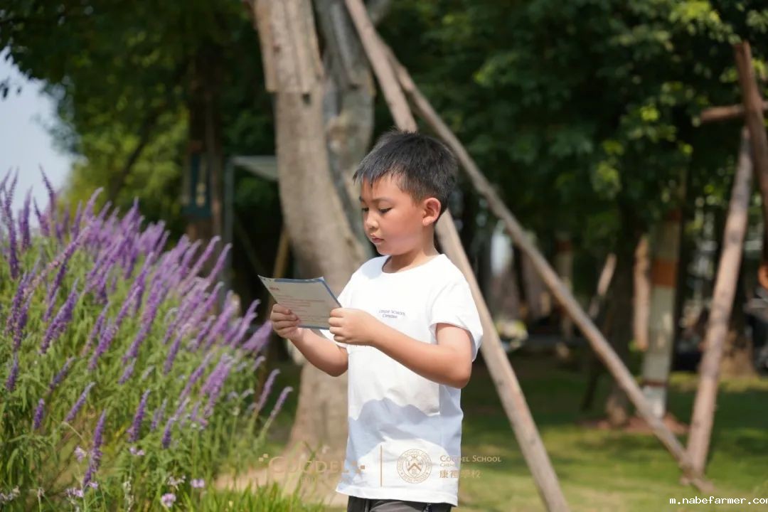 皮划艇、探险寻宝……我们去户外研学啦!