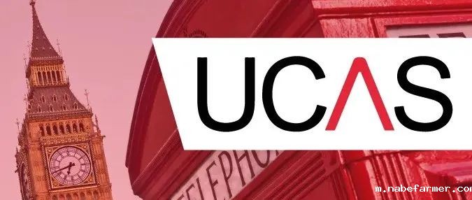 UCAS开放 | 申请要点都在这里,还有我们的独特优势!