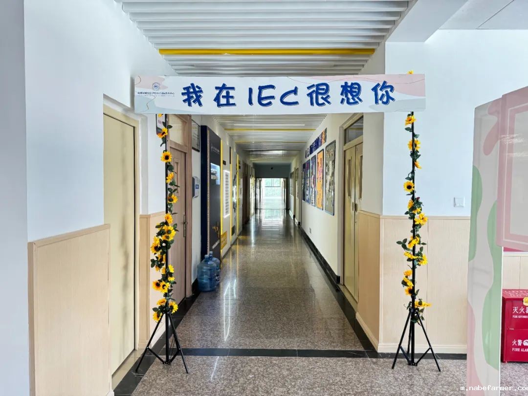 国际名校预科班开学啦 | 元气开局,轻松拿捏!