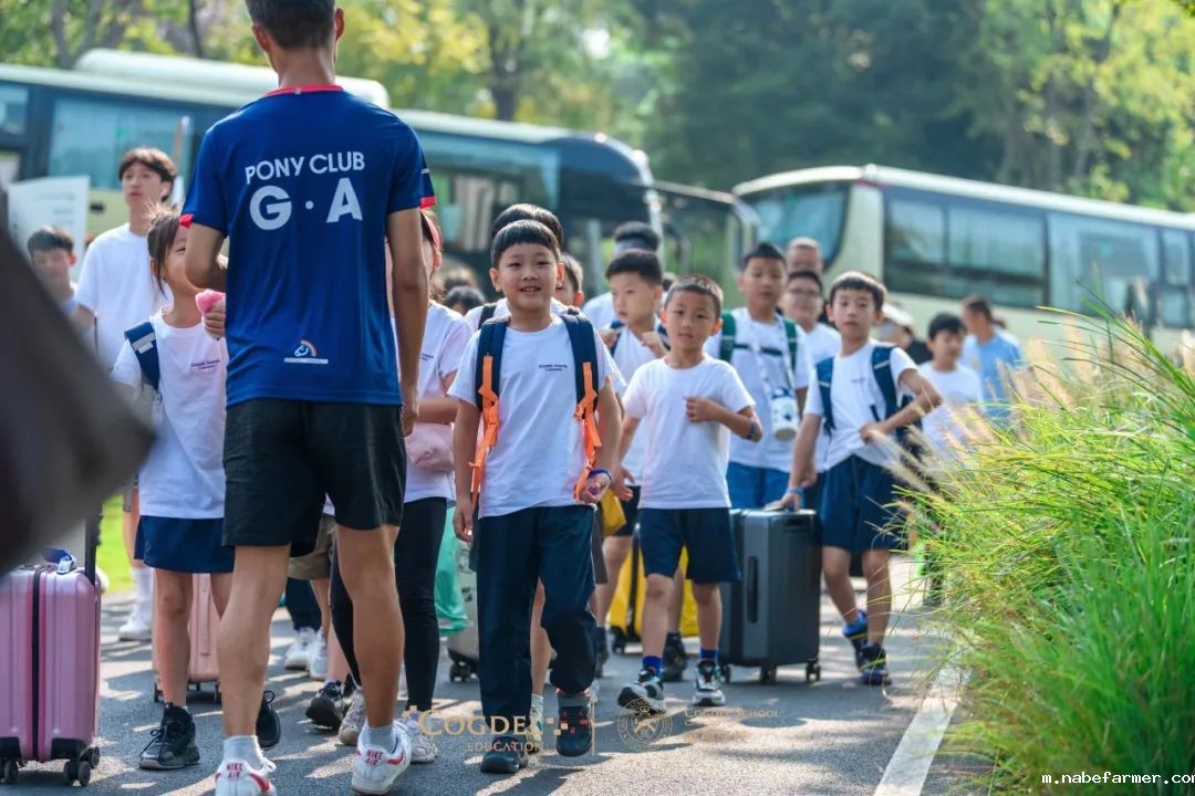 皮划艇、探险寻宝……我们去户外研学啦!