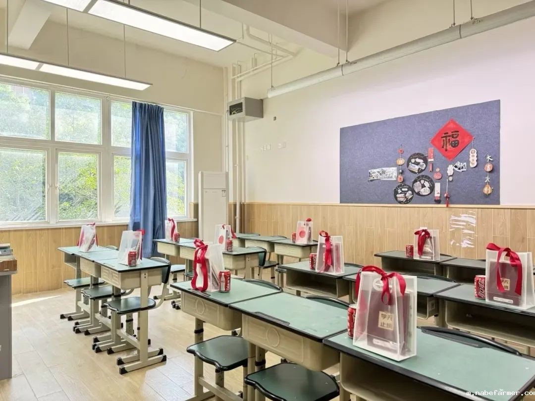 国际名校预科班开学啦 | 元气开局,轻松拿捏!