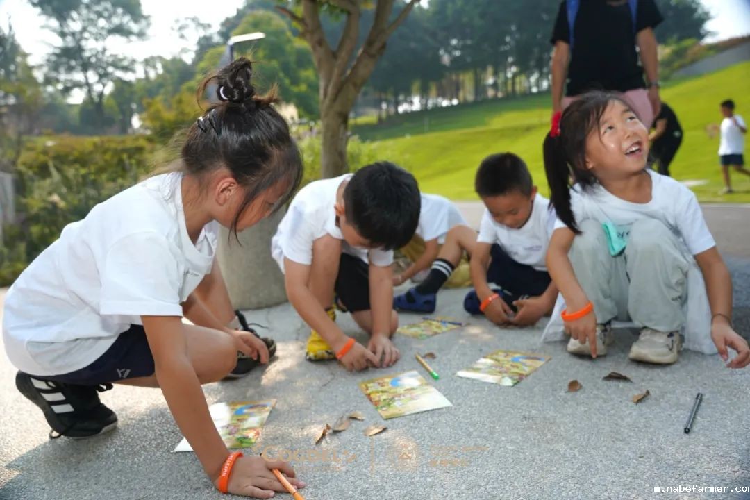 皮划艇、探险寻宝……我们去户外研学啦!