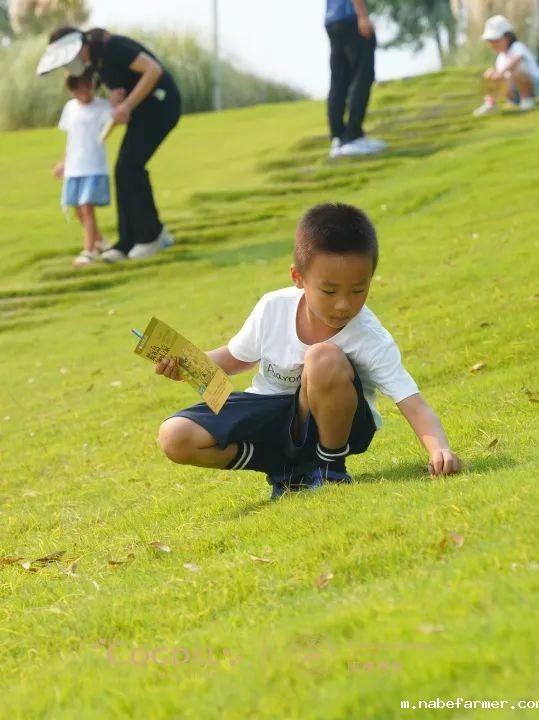 皮划艇、探险寻宝……我们去户外研学啦!