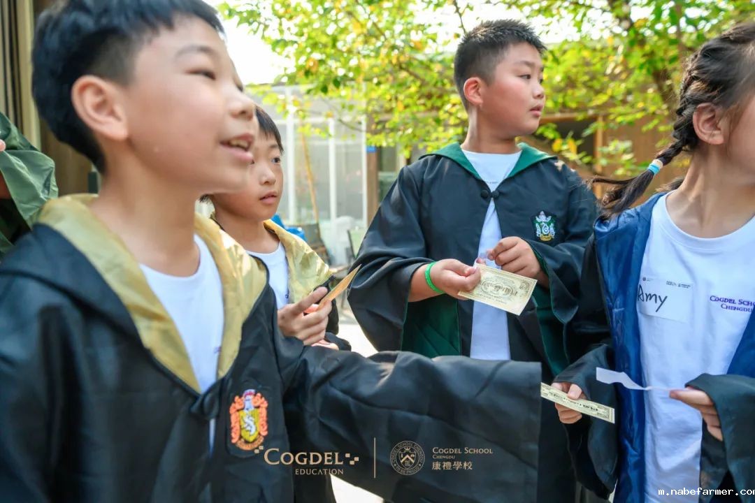 皮划艇、探险寻宝……我们去户外研学啦!