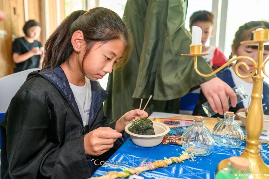 皮划艇、探险寻宝……我们去户外研学啦!