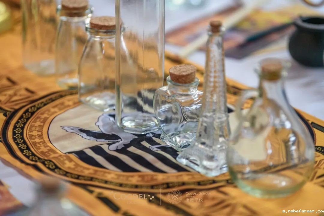 皮划艇、探险寻宝……我们去户外研学啦!