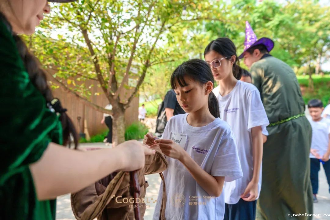 皮划艇、探险寻宝……我们去户外研学啦!