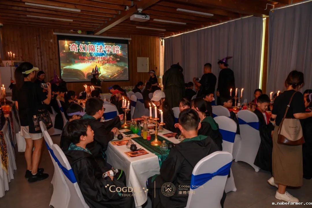 皮划艇、探险寻宝……我们去户外研学啦!