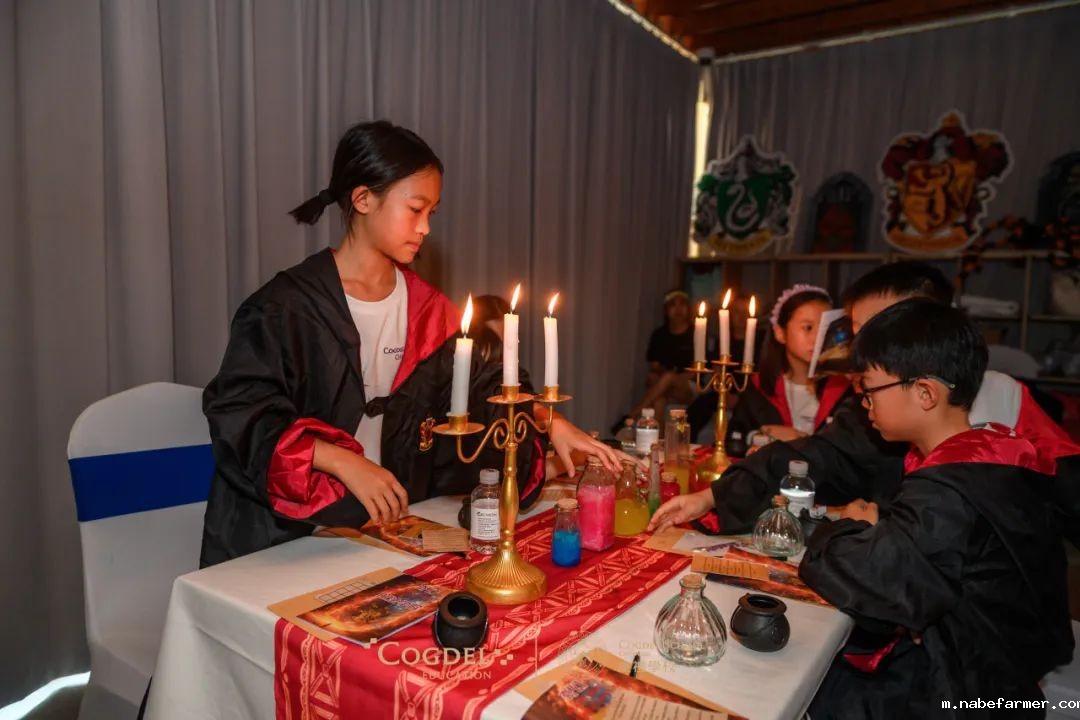 皮划艇、探险寻宝……我们去户外研学啦!