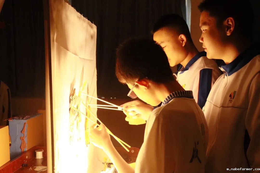 中外人文交流 | 师生共同演绎中国璀璨文化,见证中国力量!