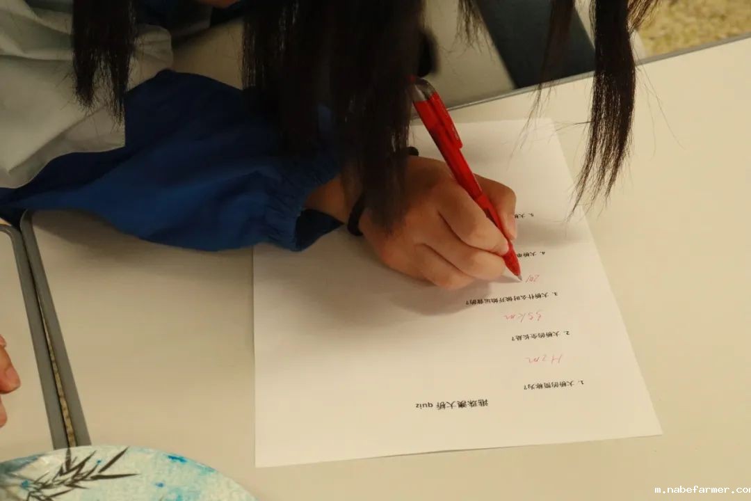 中外人文交流 | 师生共同演绎中国璀璨文化,见证中国力量!