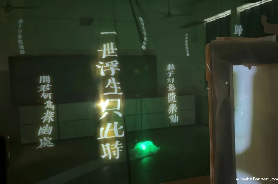 中外人文交流 | 师生共同演绎中国璀璨文化,见证中国力量!
