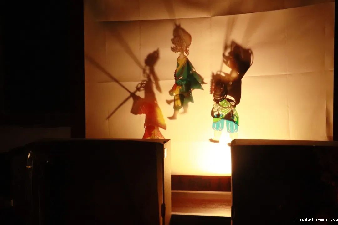 中外人文交流 | 师生共同演绎中国璀璨文化,见证中国力量!