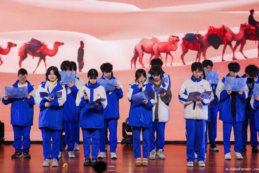 “跃动音符 绘梦时光”音乐会成功举办 | 青春以歌,师生共铸美好回忆