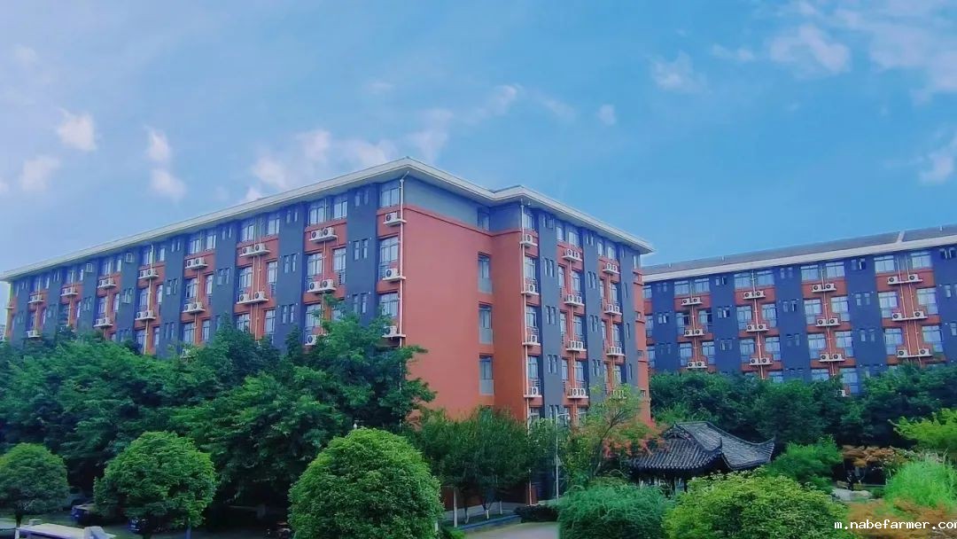 校园开放日 | 开启多元升学路径,把握弯道超车“黄金期”!