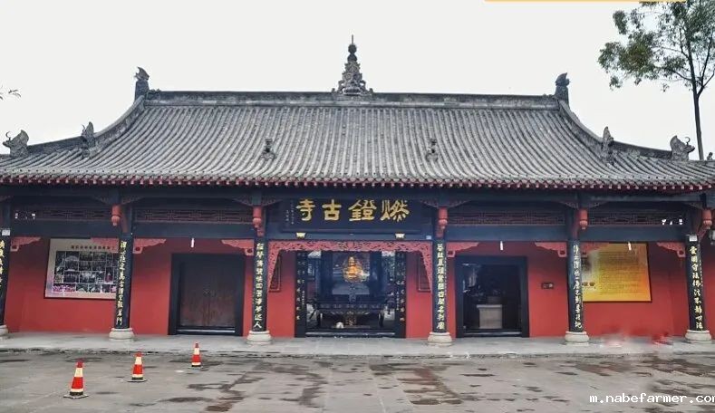 IEC预科中心研学之旅|走进洛带,触摸客家文化的脉搏