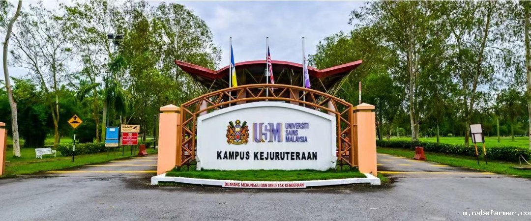 非高考:通往世界名校的逆袭之路-学姐分享