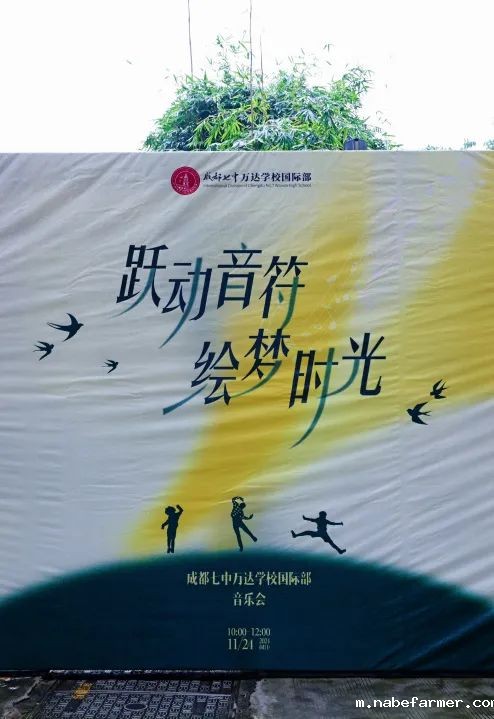 “跃动音符 绘梦时光”音乐会成功举办 | 青春以歌,师生共铸美好回忆