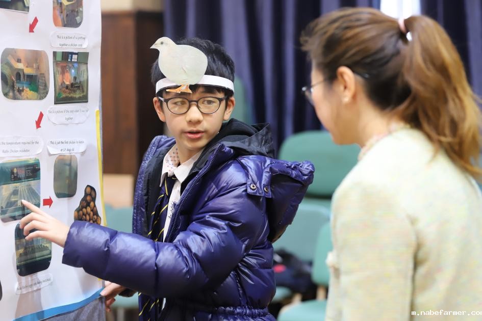 【开放日】探索康礼小学魅力,揭秘跨学科教育的奥秘