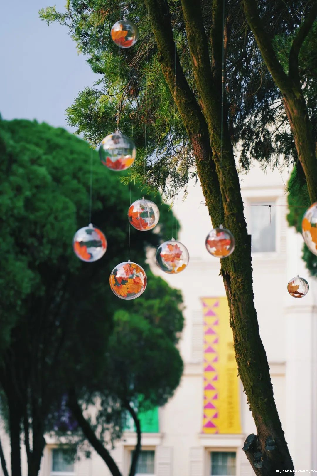 您有一份入学攻略,请查收!