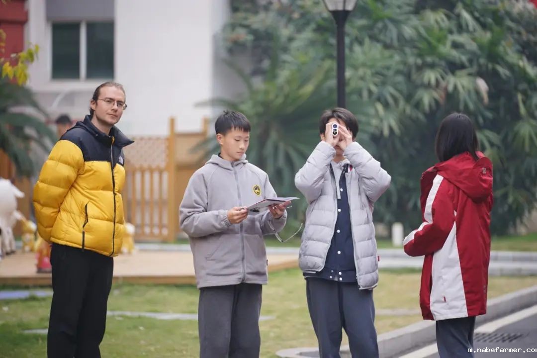 国际部SACE课程揭秘(一)数学