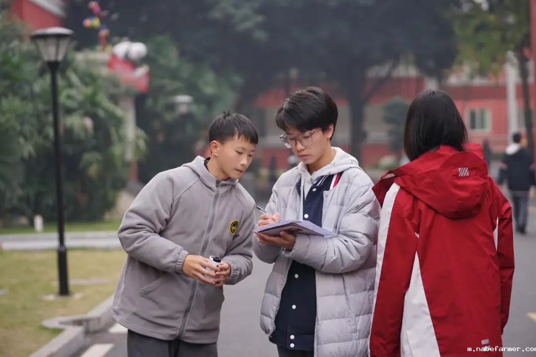 国际部SACE课程揭秘(一)数学