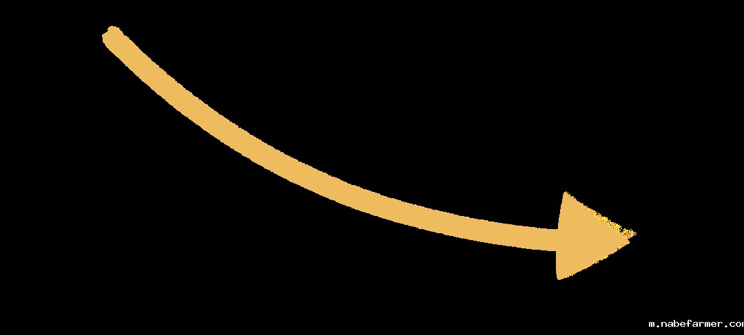 人文交流 | 中国香港岭南大学来了!