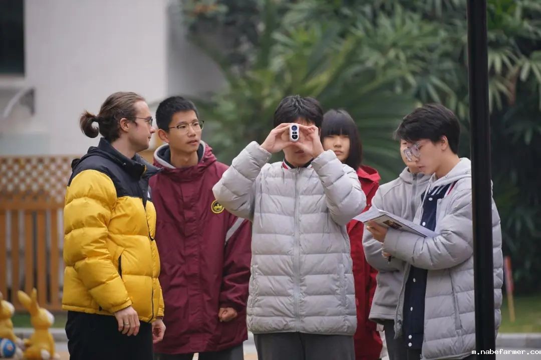 国际部SACE课程揭秘(一)数学